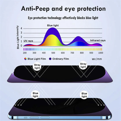 Anti Blue Light Privacy Tempered Glass Film For iPhone 14 13 12 PRO MAX 14 13 12 11 PRO XSMAX XR XS X 8 7 Plus Screen Protector